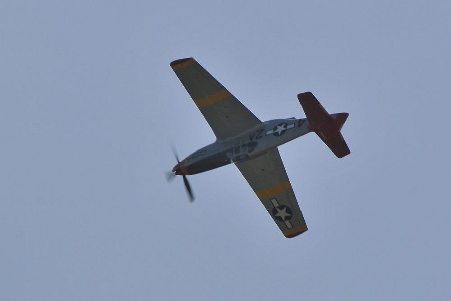 Red Tail P-51 DSC 7810